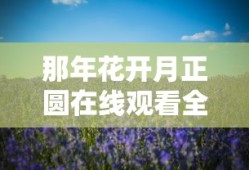 那年花开月正圆在线观看全集免费悠久
