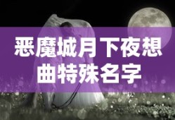 恶魔城月下夜想曲特殊名字