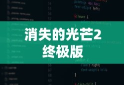 消失的光芒2终极版