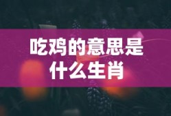 吃鸡的意思是什么生肖