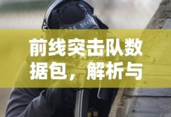 前线突击队数据包解析与实战应用指南