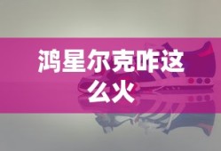 鸿星尔克咋这么火