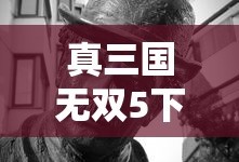 真三国无双5下载电脑版