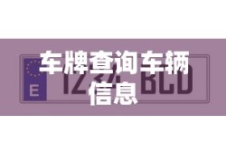 车牌查询车辆信息