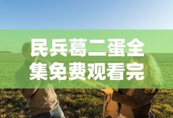 民兵葛二蛋全集免费观看完整版