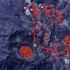 幻兽帕鲁全塔主位置打法技巧