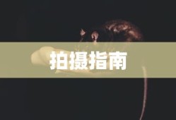 电视猫节目表