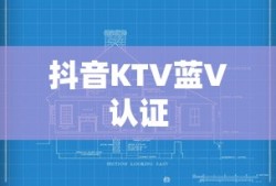 抖音KTV蓝V认证解读与探讨