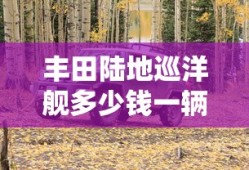 丰田陆地巡洋舰多少钱一辆