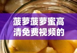 菠萝菠萝蜜高清免费视频的