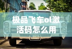 极品飞车ol激活码怎么用