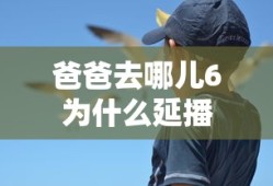 爸爸去哪儿6为什么延播