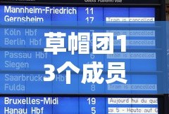 草帽团13个成员名单