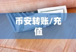 TP钱包提现至币安，详细步骤指南