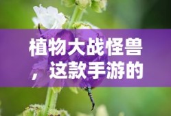 中国式家长汤金娜攻略