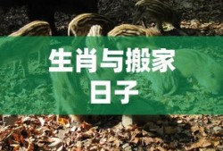 红歌经典，魅力永恒的歌曲回顾与举例