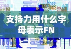 支持力用什么字母表示FN