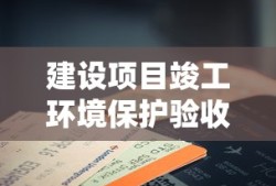 辱华t恤日本