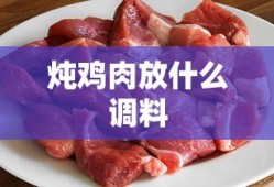 炖鸡肉放什么调料