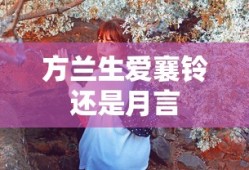 炎妃龙弱什么属性