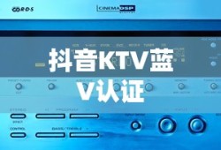 抖音KTV蓝V认证解读与探讨