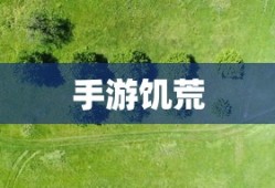 骑马与砍杀开启作弊指令