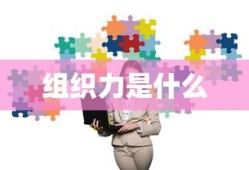 组织力是什么
