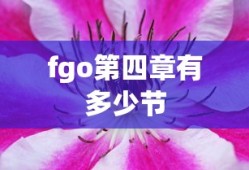 fgo第四章有多少节