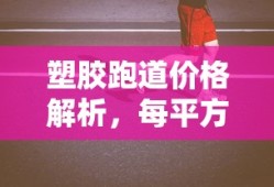 塑胶跑道价格解析，每平方米造价如何计算？
