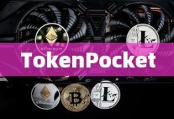 CF手游礼包深度解析，价值与性价比分析，究竟是否合算？