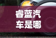 睿蓝汽车是哪个公司的