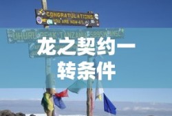 龙之契约一转条件