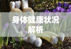 帝国时代3亚洲王朝秘籍怎么输入