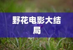 野花电影大结局