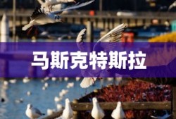 马斯克特斯拉