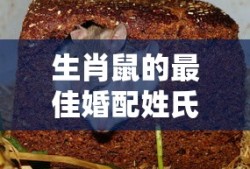 葫芦娃攻略