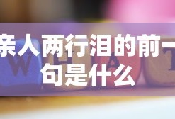 亲人两行泪的前一句是什么