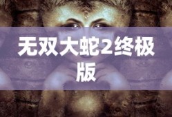 无双大蛇2终极版