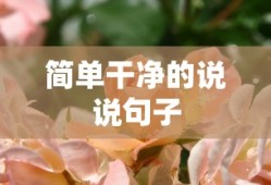 简单干净的说说句子