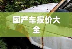 国产车报价大全