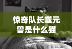 惊奇队长噬元兽是什么猫