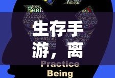 深入理解说明文的三要素