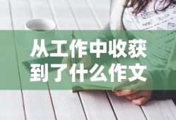 从工作中收获到了什么作文