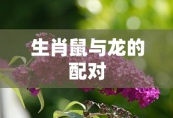 2021年最解压的游戏