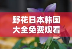 野花日本韩国大全免费观看720