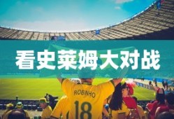 FGO日服活动攻略