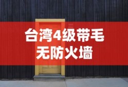 台湾4级带毛无防火墙