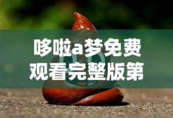 哆啦a梦免费观看完整版第一季