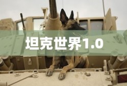 坦克世界1.0