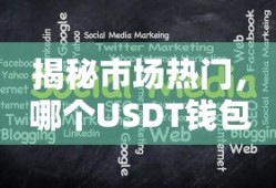 揭秘市场热门，USDT钱包哪个最受欢迎？